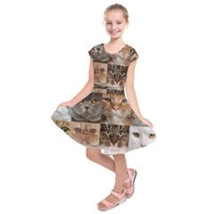 Kids  Short Sleeve Dress 