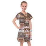 Breeds Of Cats Collage Kids  Drop Waist Dress