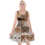 Breeds Of Cats Collage Reversible Velvet Sleeveless Dress