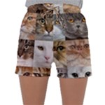 Breeds Of Cats Collage Sleepwear Shorts