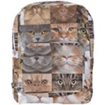 Breeds Of Cats Collage Full Print Backpack