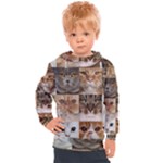 Breeds Of Cats Collage Kids  Hooded Pullover