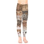 Breeds Of Cats Collage Kids  Leggings