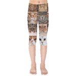 Breeds Of Cats Collage Kids  Capri Leggings 