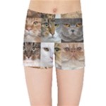 Breeds Of Cats Collage Kids  Sports Shorts