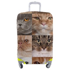 Breeds Of Cats Collage Luggage Cover (Medium) from ArtsNow.com