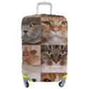 Luggage Cover (Medium) 