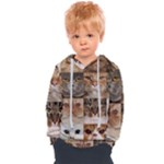 Breeds Of Cats Collage Kids  Overhead Hoodie