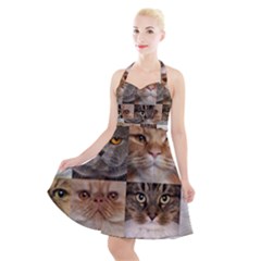 Halter Party Swing Dress  