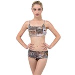 Breeds Of Cats Collage Layered Top Bikini Set