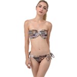 Breeds Of Cats Collage Twist Bandeau Bikini Set