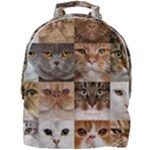 Breeds Of Cats Collage Mini Full Print Backpack