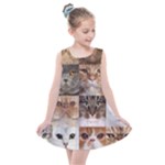 Breeds Of Cats Collage Kids  Summer Dress