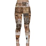 Breeds Of Cats Collage Lightweight Velour Classic Yoga Leggings