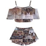 Breeds Of Cats Collage Kids  Off Shoulder Skirt Bikini