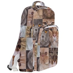 Double Compartment Backpack 