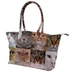 Breeds Of Cats Collage Canvas Shoulder Bag