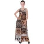 Breeds Of Cats Collage Empire Waist Velour Maxi Dress