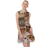 Breeds Of Cats Collage Sleeveless Shirt Dress