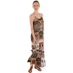 Breeds Of Cats Collage Cami Maxi Ruffle Chiffon Dress