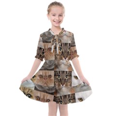 Kids  All Frills Chiffon Dress 