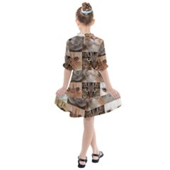 Kids  All Frills Chiffon Dress 