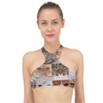 Breeds Of Cats Collage High Neck Bikini Top