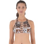 Breeds Of Cats Collage Perfectly Cut Out Bikini Top