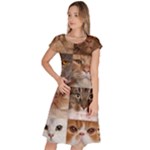 Breeds Of Cats Collage Classic Short Sleeve Dress