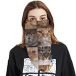 Breeds Of Cats Collage Face Covering Bandana (Triangle)