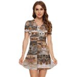 Breeds Of Cats Collage V-Neck High Waist Chiffon Mini Dress