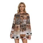 Breeds Of Cats Collage Round Neck Long Sleeve Bohemian Style Chiffon Mini Dress