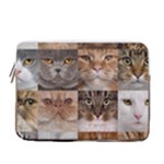 Breeds Of Cats Collage 13  Vertical Laptop Sleeve Case With Pocket