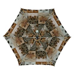 Breeds Of Cats Collage Automatic Folding Umbrella with Case (Small) from ArtsNow.com