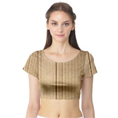 Short Sleeve Crop Top 