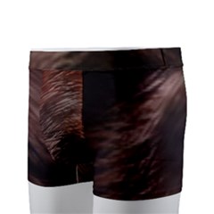 Men s Boxer Briefs 