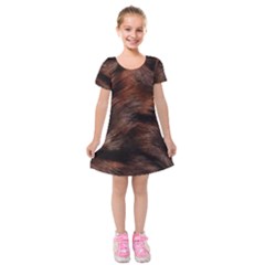 Brown Wool Texture Kids  Short Sleeve Velvet Dress from ArtsNow.com