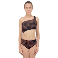 Spliced Up Two Piece Swimsuit 