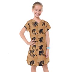 Kids  Drop Waist Dress 