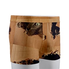 Men s Boxer Briefs 