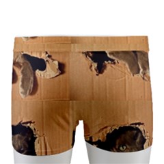 Men s Boxer Briefs 