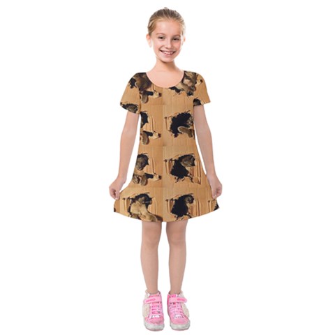 Carton, Brown Kids  Short Sleeve Velvet Dress from ArtsNow.com