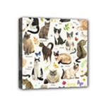 Cats, All, Collage, Cat Mini Canvas 4  x 4  (Stretched)