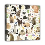 Cats, All, Collage, Cat Mini Canvas 8  x 8  (Stretched)