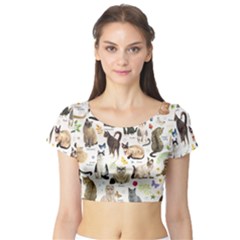 Short Sleeve Crop Top 