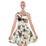 Cats, All, Collage, Cat Velvet Skater Dress