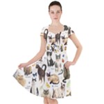 Cats, All, Collage, Cat Cap Sleeve Midi Dress