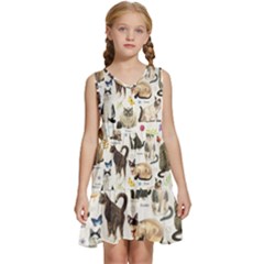 Kids  Sleeveless Tiered Mini Dress 