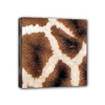 Giraffe Skin Texture Mini Canvas 4  x 4  (Stretched)