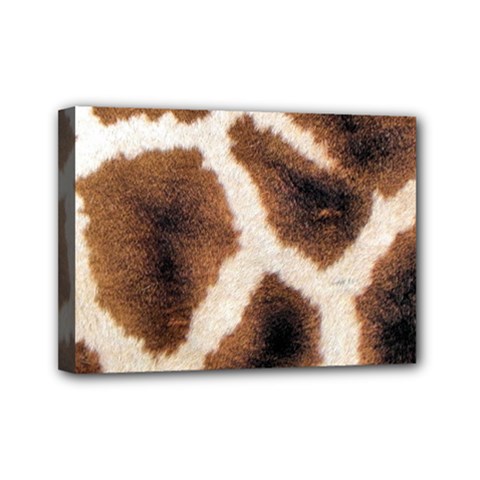 Giraffe Skin Texture Mini Canvas 7  x 5  (Stretched) from ArtsNow.com